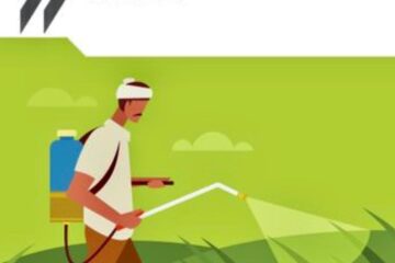La OCDE recomienda al gobierno federal mejorar marco regulatorio de plaguicidas