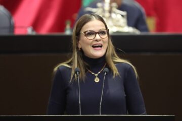 Reforma energética del Ejecutivo Federal afectará la economía familiar y el medio ambiente: Cecilia Patrón