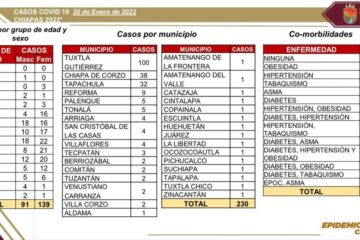 Se detectan 230 casos de COVID-19 en el último día