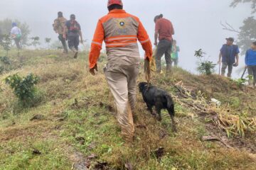 PC localiza a menor extraviado por salir a recolectar alimentos en zona montañosa