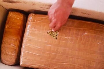 Asegura SSyPC 13 kilos de marihuana en Arriaga