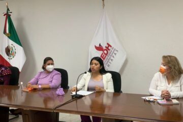 Diputada Federal denuncia violencia política