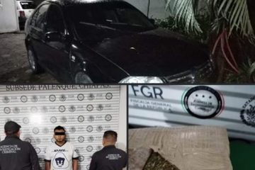 FGR Inicia investigación por aseguramiento de marihuana