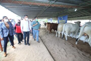 En Ocozocoautla, Rutilio Escandón inauguró XXV Concurso Estatal de la Vaca Lechera