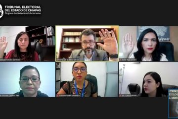 Debe concejal presidente garantizar gobernabilidad para elecciones por usos y costumbres en Oxchuc: TEECH