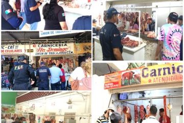 Verifican 48 carnicerías en Chiapas