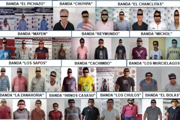 FGE desarticula 13 bandas dedicadas al abigeato en nueve municipios de Chiapas en lo que va de 2022