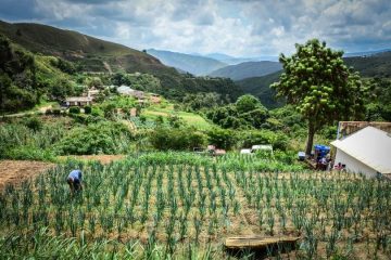 Comienza el Censo Agropecuario 2022