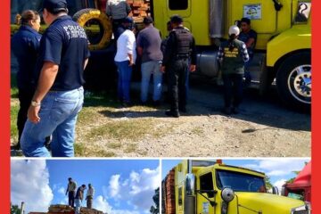 FGE detiene a una persona por transporte de material forestal irregular