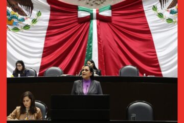 Comparece la secretaria de Bienestar ante el Pleno de la Cámara de Diputados