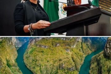 Presentan Dictamen para la Protección y Cuidado del Parque Nacional Cañón del Sumidero