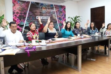 Diputados aprobaron términos relativos a la consulta de los pueblos y comunidades indígenas y afromexicanas