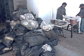 Destruye FGR más de 700 mil kilos de material apócrifo en Chiapas