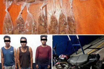 SSyPC detiene a implicados en delitos contra la salud