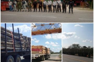 FGE implementa operativo contra tráfico de material forestal en la región selva
