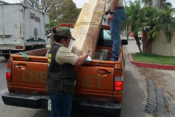 FGE implementa operativo contra tráfico de material forestal en la región metropolitana