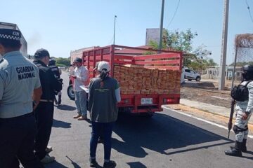 Asegura FGE recurso forestal transportado sin documentos