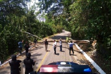 Grupo Interinstitucional restablece el libre tránsito en la carretera federal Ocosingo-Palenque