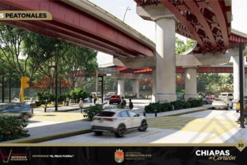 Trasplantará SOP todos los árboles de banquetas y camellones del “Circuito Interior, Chiapas de Corazón”