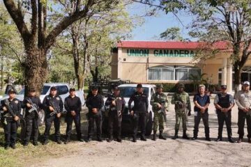 Encabeza FGE operativo contra la tala, tráfico y comercio ilegal de recursos forestales maderables en Palenque