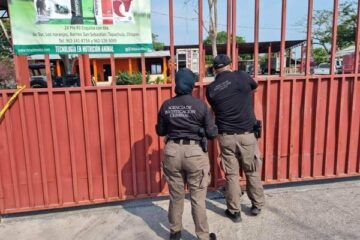 En cateo FGR asegura armas y cartucho en un Rancho en Chiapas.