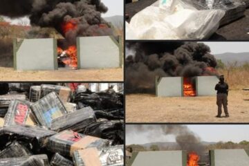 INCINERA FGR EN CHIAPAS MÁS DE 224 KILOS DE NARCÓTICOS