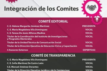 Aprueba IEPC nueva integración de comisiones provisionales y rotación de permanentes