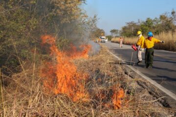 Continúan acciones conjuntas para prevenir y combatir incendios forestales en Chiapas