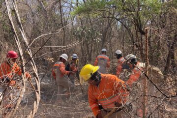 Al menos 42 hectáreas de pastizales afectadas en Chiapa de Corzo