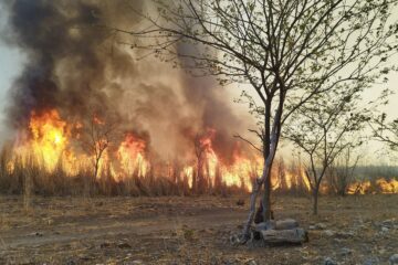 En Chiapa de Corzo se combate incendio