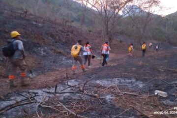 PC combate 13 incendios en Chiapas y se han liquidado 100 siniestros