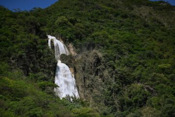 Gobierno de Eduardo Ramírez declara como Reserva Natural Comunitaria al Ejido San Cristobalito, en Tzimol