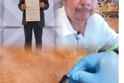 Filo y Sofía*Avanza gusano barrenador *Sagyp hasta pierde recursos
