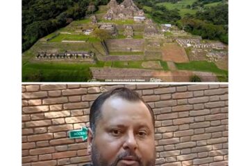 Molinos de viento *Toniná y los zapatistas