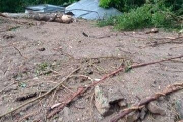 La Cruz Roja Mexicana reporta en Mapastepec viviendas inundadas