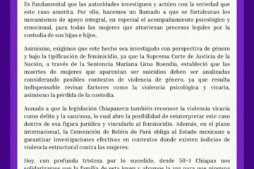 Exigen investigar como feminicidio el fallecimiento de una madre víctima de violencia vicaria