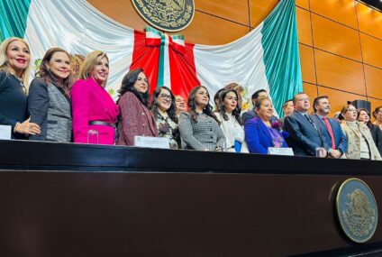 𝐍𝐞𝐜𝐞𝐬𝐚𝐫𝐢𝐨 𝐟𝐚𝐜𝐮𝐥𝐭𝐚𝐫 𝐚 𝐭𝐫𝐢𝐛𝐮𝐧𝐚𝐥𝐞𝐬 𝐞𝐥𝐞𝐜𝐭𝐨𝐫𝐚𝐥𝐞𝐬 𝐥𝐨𝐜𝐚𝐥𝐞𝐬 𝐩𝐚𝐫𝐚 𝐢𝐦𝐩𝐨𝐧𝐞𝐫 𝐬𝐚𝐧𝐜𝐢𝐨𝐧𝐞𝐬 𝐩𝐨𝐫 𝐕𝐏𝐑𝐆: 𝐌𝐚𝐠𝐚𝐥𝐢 𝐀𝐫𝐞𝐥𝐥𝐚𝐧𝐨 𝐂ó𝐫𝐝𝐨𝐯𝐚