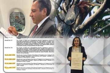 Filo y Sofía *Daños ambientales, una realidad *Torres Abarca, sin estrategias