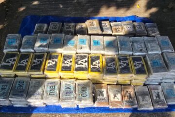 Decomisan 175 paquetes presuntamente con polvo blanco