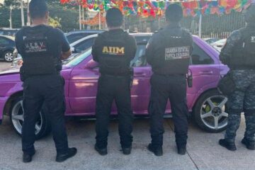 En operativos de seguridad, aseguran nueve vehículos con reporte de robo, abandonados y alteraciones en medios de identificación En operativos de seguridad, aseguran nueve vehículos con reporte de robo, abandonados y alteraciones en medios de identificación