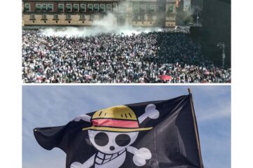 Molinos de viento * Generación Z: entre la desconfianza y la incertidumbre