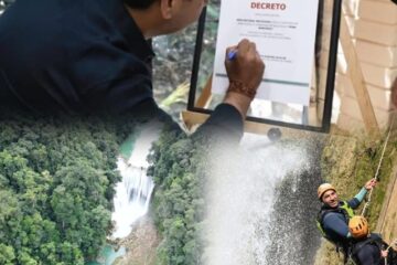 Filo y Sofía *Faltan proyectos a SMAHN, turismo y SAGyP *Informe de UNACH en Tapachula Filo y Sofía *Faltan proyectos a SMAHN, turismo y SAGyP *Informe de UNACH en Tapachula