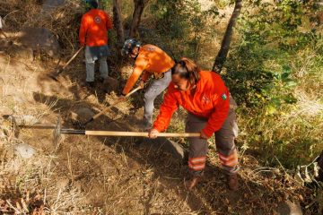 Trabajadores de PC realizan brechas cortafuego para prevenir incendios forestales en 17 municipios de Chiapas