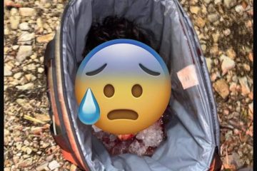 Encuentran cabeza humana en una hielera en Tuxtla Gutiérrez Chiapas cerca del parque Caña Hueca Encuentran cabeza humana en una hielera en Tuxtla Gutiérrez Chiapas cerca del parque Caña Hueca