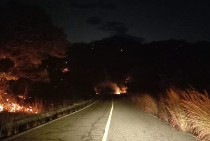 Combaten incendio forestal en Arriaga, Chiapas cerca de la Biosfera La Sepultura