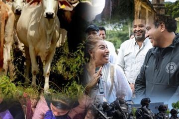 Jaque Con Dama *El año uno de la nueva ERA *El sarampión en Chiapas