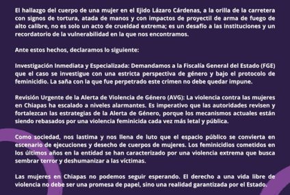 ¡Basta de violencia extrema contra las mujeres en Chiapas!