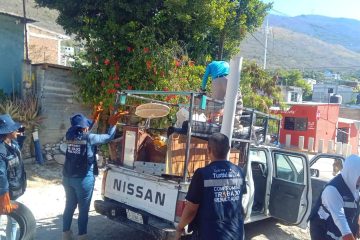 Con el Programa Chuleando Tuxtla atendimos 13 colonias más en nuestra capital: Angel Torres Con el Programa Chuleando Tuxtla atendimos 13 colonias más en nuestra capital: Angel Torres