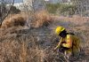 Controlan incendio de pastizales en la colonia Castillo Tielmans de Tuxtla Gutiérrez