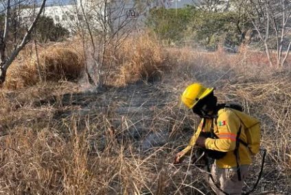 Controlan incendio de pastizales en la colonia Castillo Tielmans de Tuxtla Gutiérrez